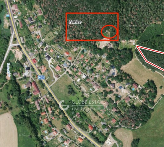 Pozemek s lesem