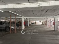 IMG_4118