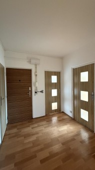 Detail: Pronájem bytu 2+1, 52 m2
