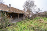 DSC00419