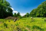 IMG_202605251406166