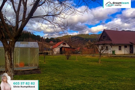 IMG_20240226_114309b