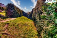 IMG_3264d