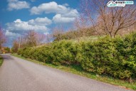 IMG_3297d