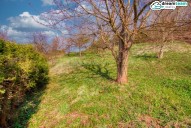 IMG_3291e