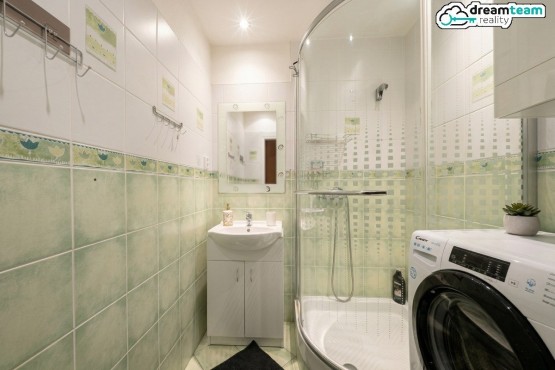 Moderní koupelna se sprchovým koutem