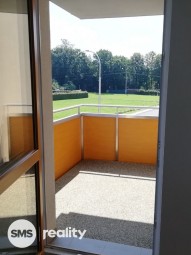6131.jpg