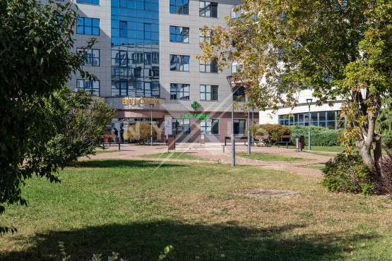 p1081002.jpg