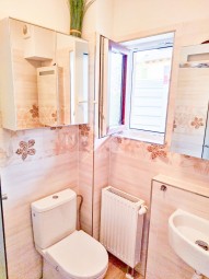 110-wc-sprcha2.jpg