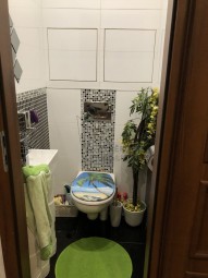 wc-1.jpg
