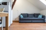 Detail: Pronájem bytu 1+kk, 27 m2