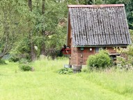 IMG_1507.jpg