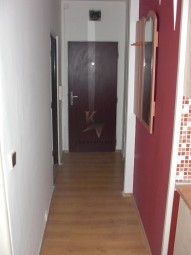 cimg5239.jpg
