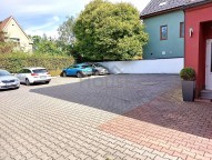 FROSE1382