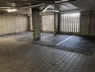 IMG_3391