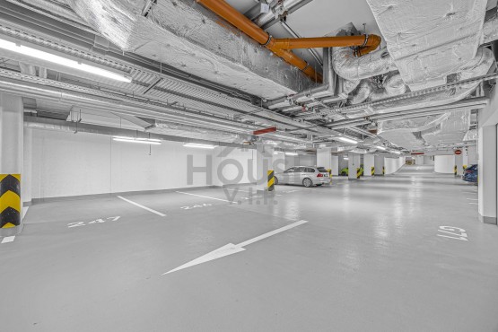 _MG_8642