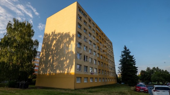 P1013781