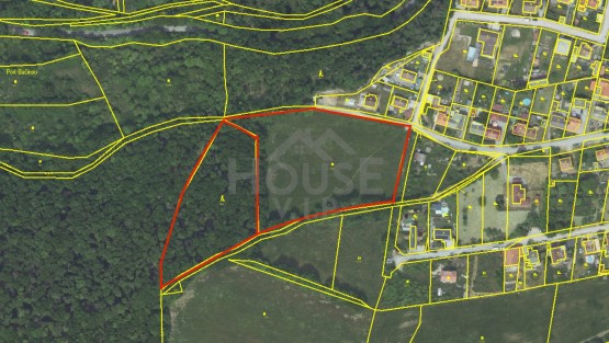 Still 2025-08-19 090747_1.3.1