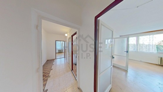 12279-Bitovska-08122025_120909