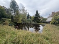 IMG_5910