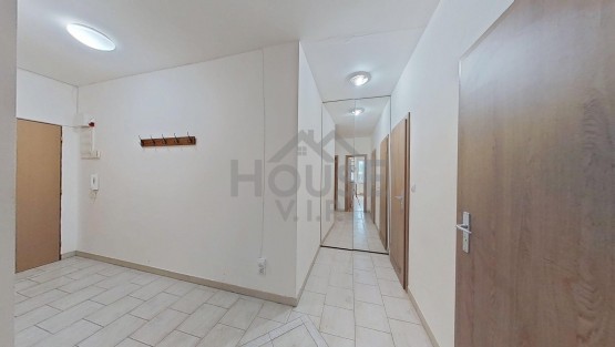 Brandyska-314-10142025_200734