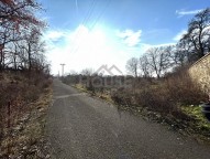 IMG_E6156