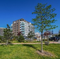 6782b0a97d65fa5290e1e04062eaf1fa83205