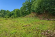 Detail: Pozemek 2290 m2