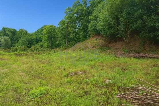 ChatGPT Image 28. 8. 2025 15_00_42