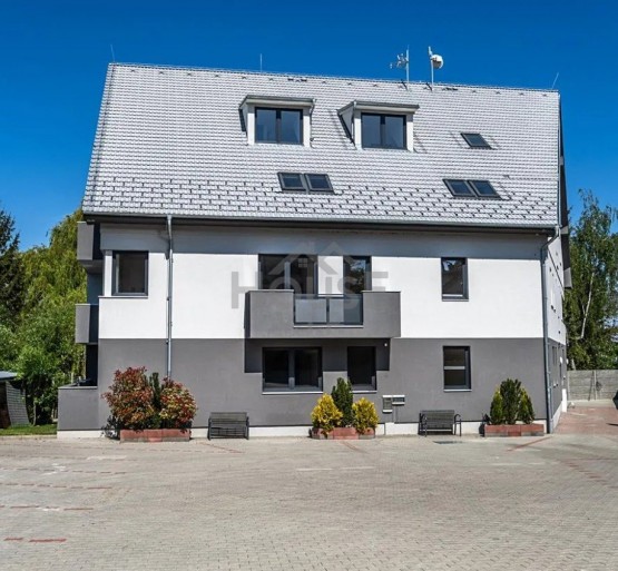 Snímek obrazovky 2026-01-31 125431