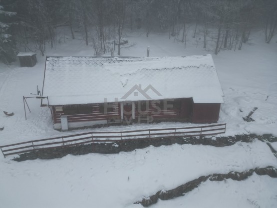 dji_fly_20260204_142616_560_1770296690073_photo