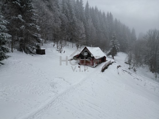 dji_fly_20260204_143040_574_1770296687984_photo