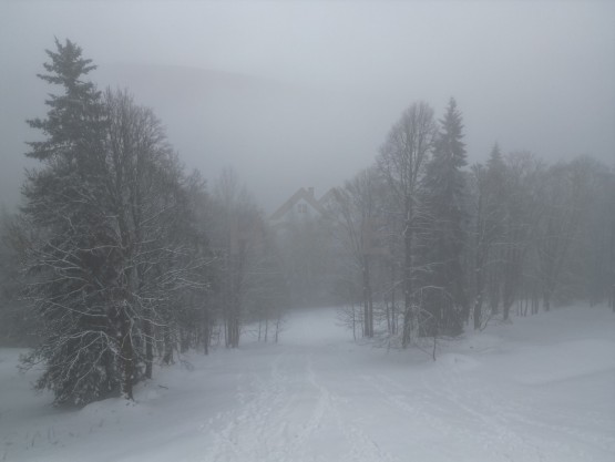 dji_fly_20260204_142530_559_1770296689931_photo