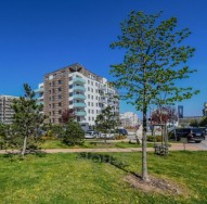 Detail: Prodej bytu 2+kk, 51 m2