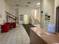 IMG_E4252