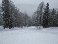 dji_fly_20260204_143302_584_1770296671529_photo