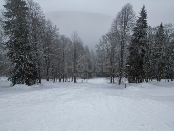 dji_fly_20260204_143302_584_1770296671529_photo