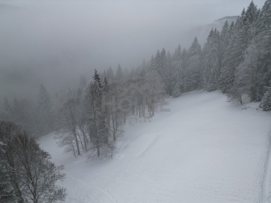 dji_fly_20260204_142956_572_1770296688896_photo