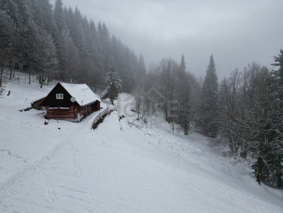 dji_fly_20260204_143046_575_1770296687750_photo