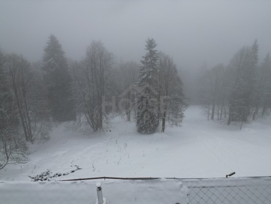 dji_fly_20260204_142902_566_1770296689301_photo