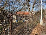 IMG_7391