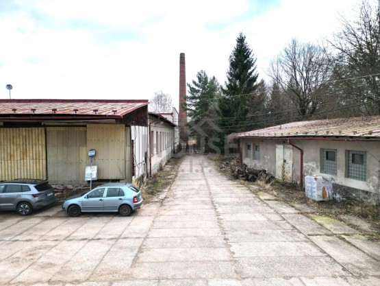 dji_fly_20260320_113220_665_1774017776071_photo