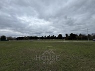 IMG_4536