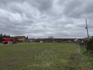 IMG_4535