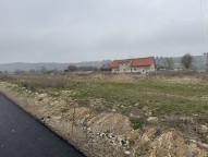 IMG_4659