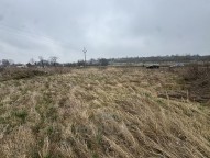 IMG_4668