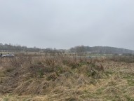 IMG_4667