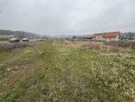IMG_4673