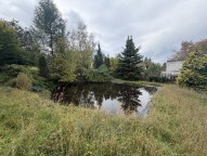 IMG_5910