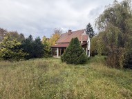 IMG_5911